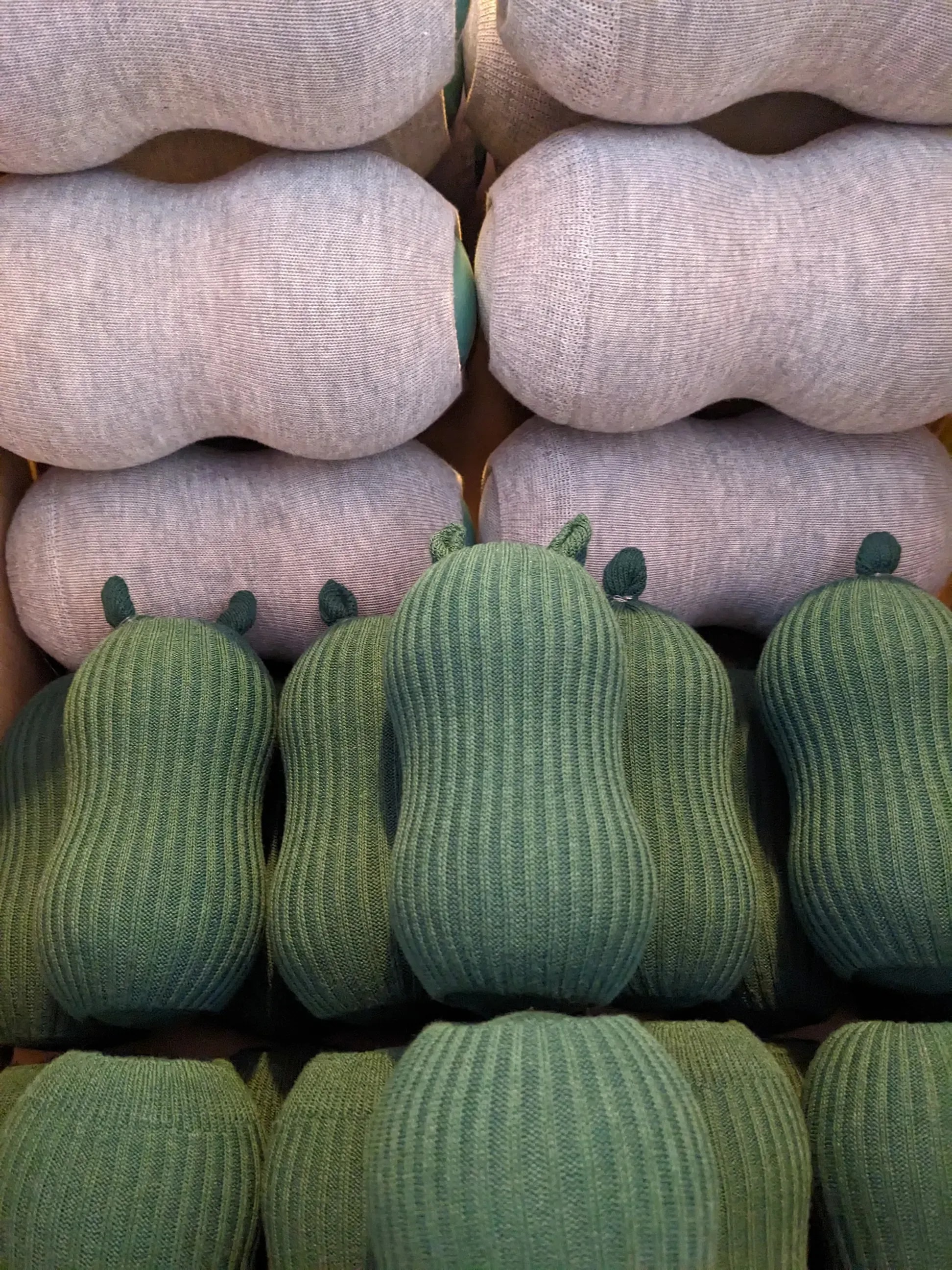 Durch die praktische Umsetzung der Faszienforschung zu mehr Beweglichkeit