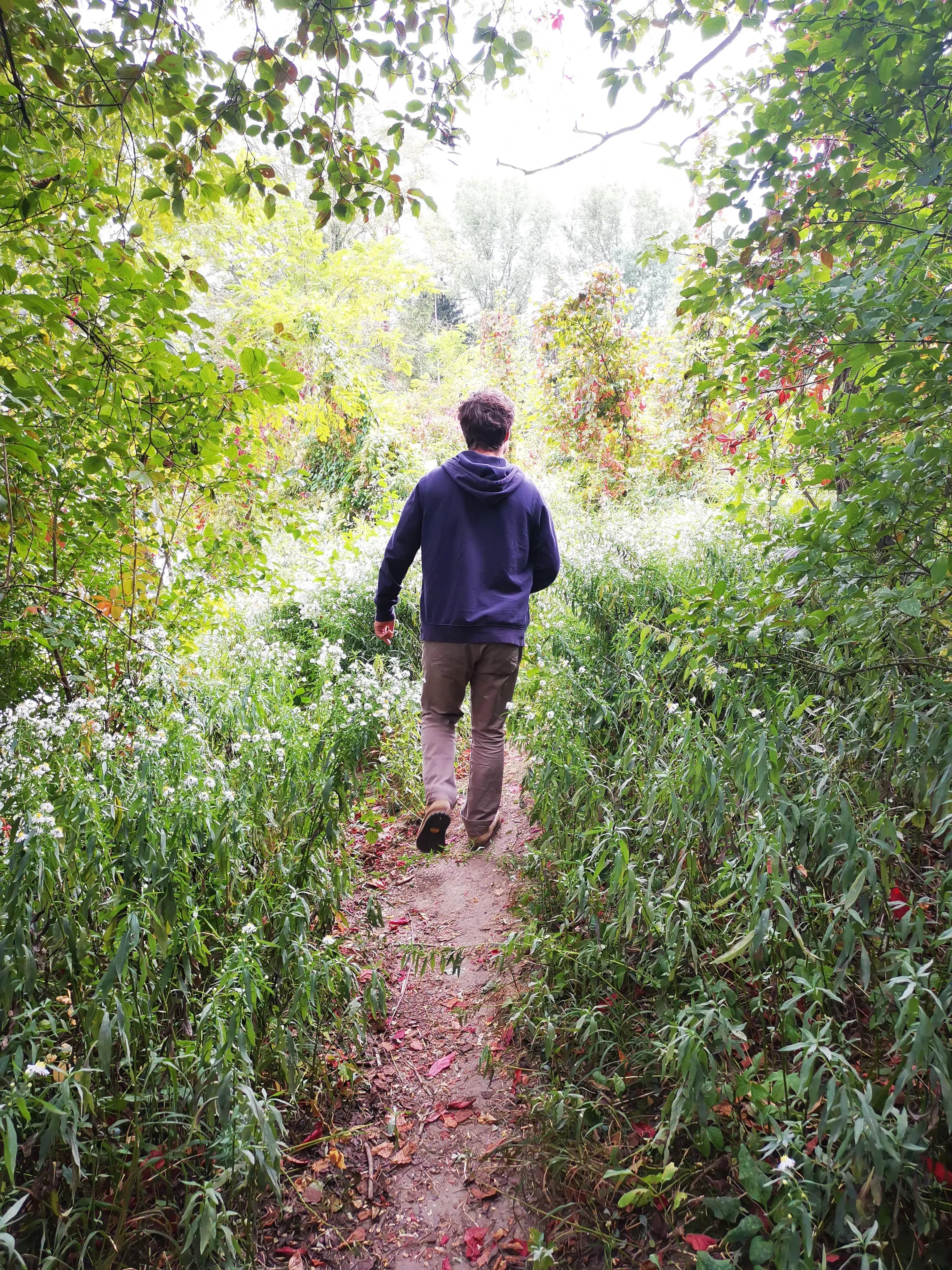 Coaching mit der Kraft unserer keltischen Wurzeln