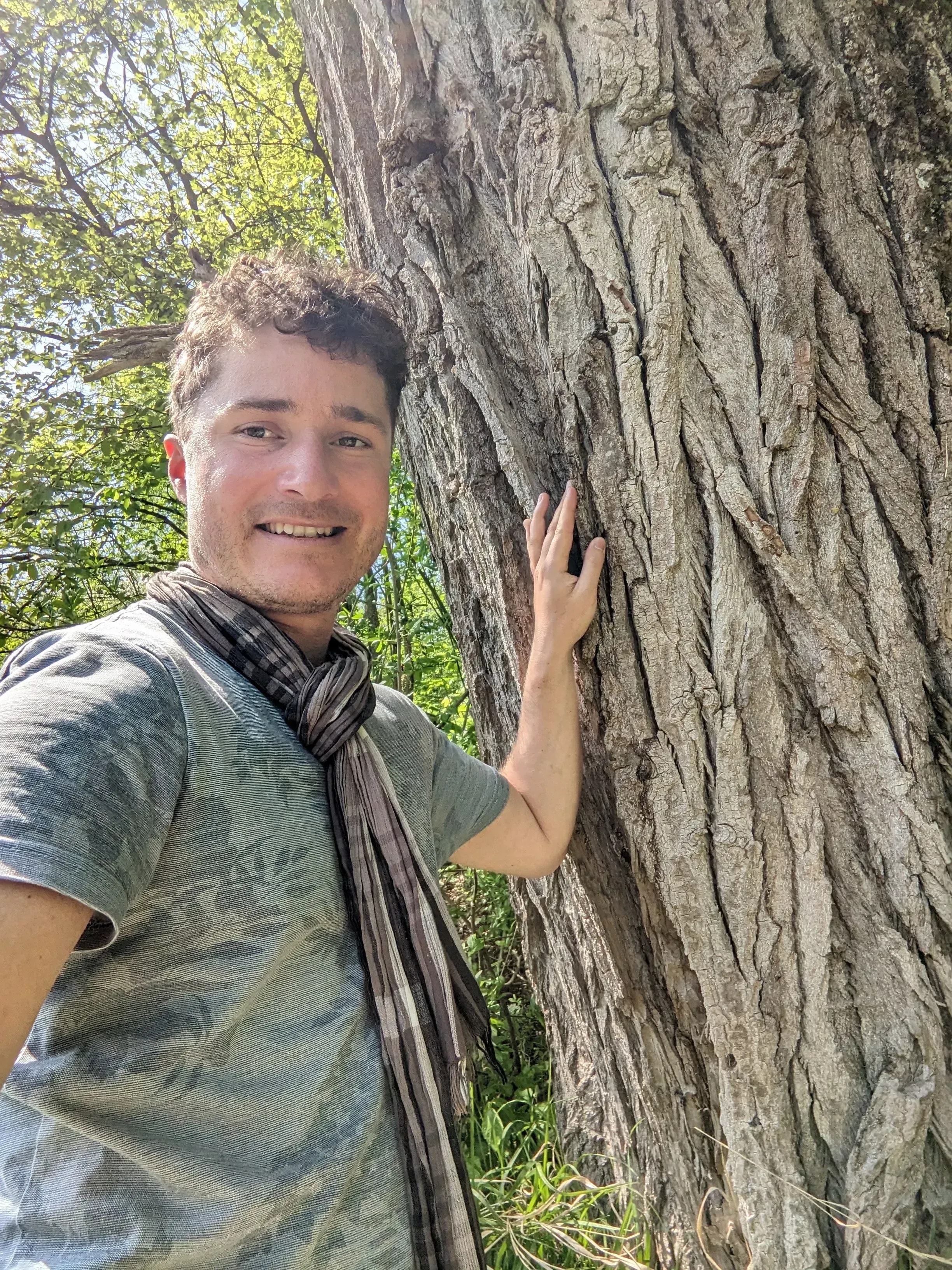 Coaching mit der Kraft unserer keltischen Wurzeln